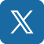 x icon